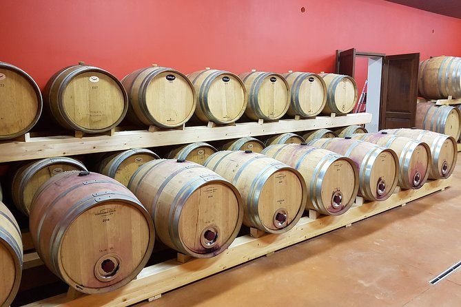 Enjoy a Meal With Wine Tasting in the Vineyard of Podere Casanova - Included Features