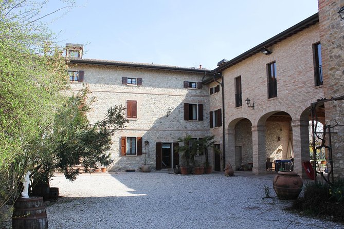Enjoy a Private Balsamic Vinegar Tour in Vignola, Modena in French or German - Tour Highlights