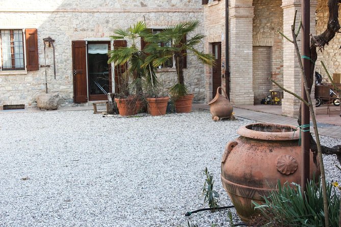 Enjoy a Private Balsamic Vinegar Tour in Vignola, Modena in French or German - Recap