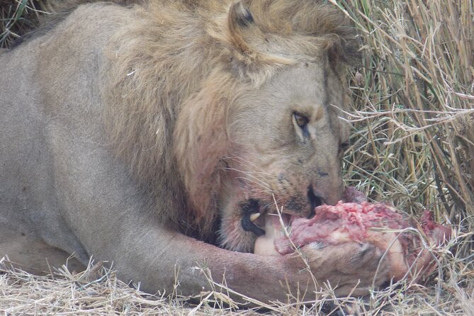 Enjoy a Private Day Trip to Lake Manyara National Park. - Transportation Details
