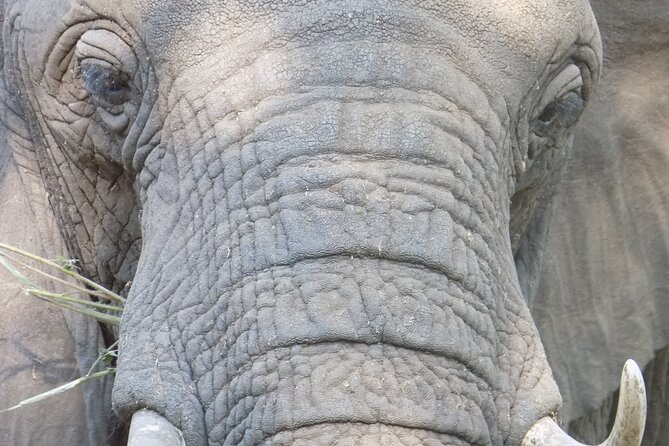Enjoy a Private Day Trip to Lake Manyara National Park. - Important Considerations