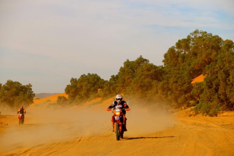 Enjoy a Private Experience in Riding KTM Bikes in Sahara - Key Points