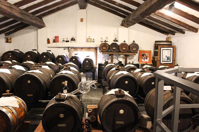 Enjoy a Private, Owner-Led Balsamic Vinegar Tour and Tasting in Vignola, Modena - Private and Personalized Nature