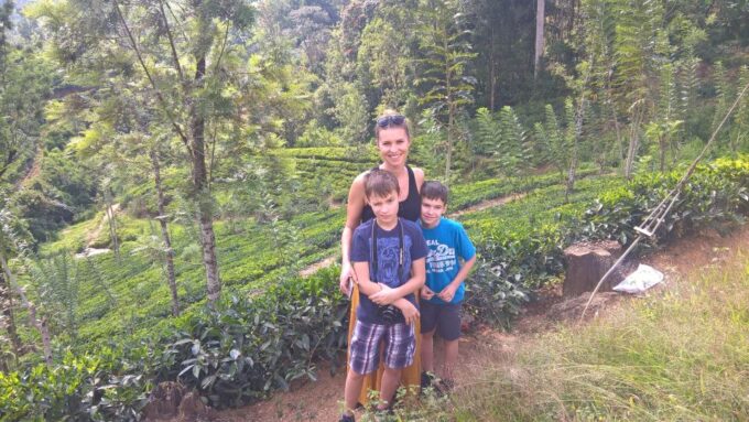 Enjoy a Rail Adventure From Kandy to Nuwara Eliya , Day Tour - Main Stops
