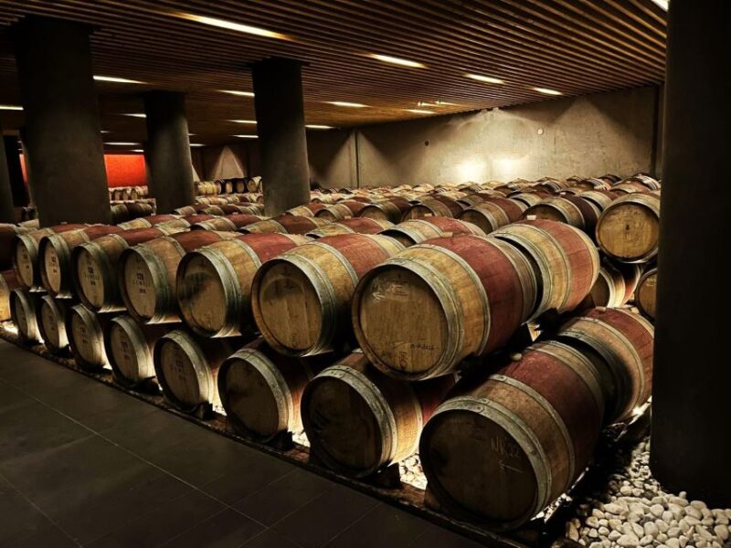 Enjoy a Unique All Day Wine Tasting Tour in Nemea - Inclusions