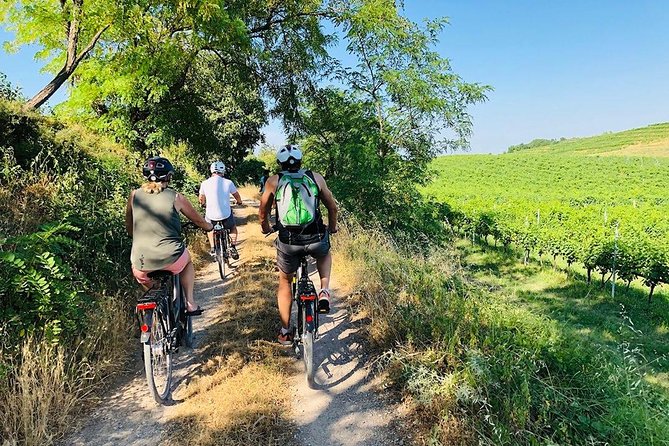Enjoy a Wine Tasting After a Cycling Excursion in the Magic of Tuscany - About Your Stay