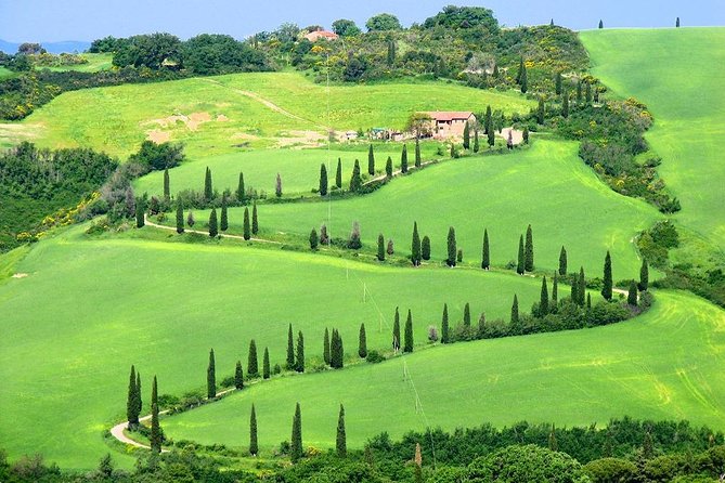 Enjoy a Wine Tasting After a Cycling Excursion in the Magic of Tuscany - Wine Tasting