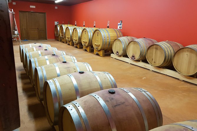 Enjoy a Wine Tasting After a Cycling Excursion in the Magic of Tuscany - Reviews and Ratings