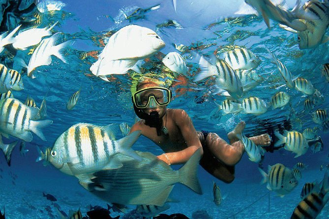 Enjoy an Amazing Day in Isla Mujeres With Snorkeling Food, Drinks and Round Trip - Tips for a Great Day