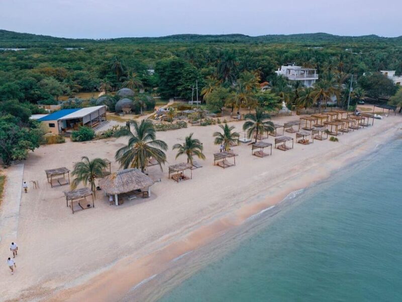 Enjoy an Unforgettable Dinner at Fénix Beach - Dining Experience