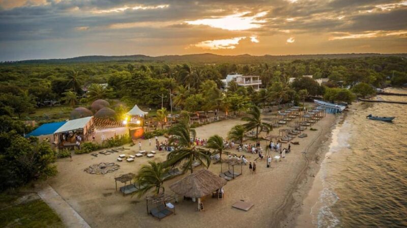Enjoy an Unforgettable Dinner at Fénix Beach - Flexible Booking Options