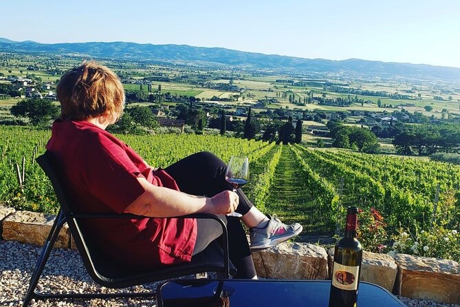 Enjoy and Taste the Flavors of Wine in an Open-air Venue - Included in Your Visit