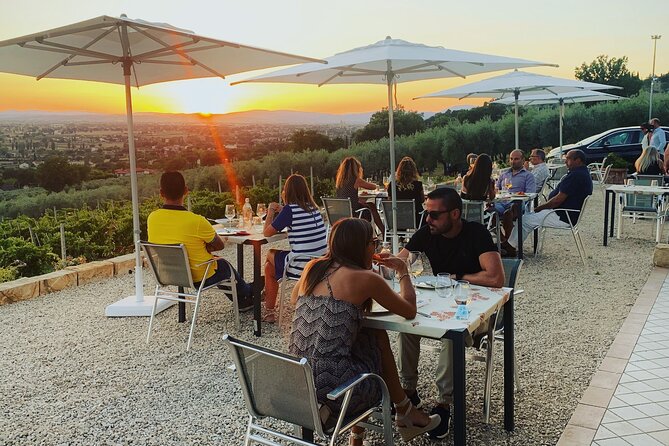 Enjoy and Taste the Flavors of Wine in an Open-air Venue - Cancellation Policy