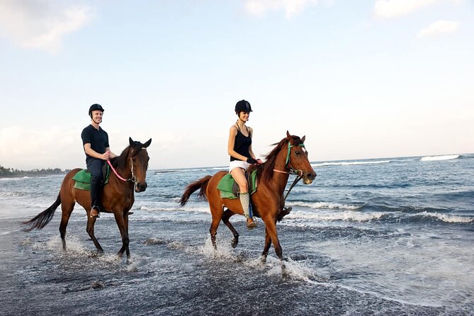 Enjoy Bali Horse Riding on the Beach Including Volcano and Ubud Tour - Lunch With Volcano Views