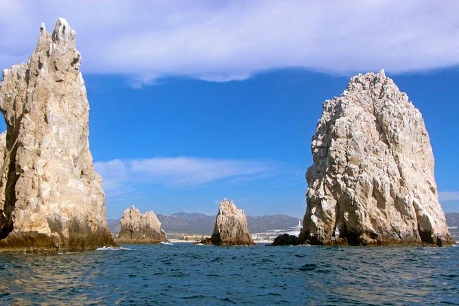 Enjoy Cabo San Lucas City Tour and Amazing Sea Adventure to Lands End! - Wildlife Sightings and Snorkeling