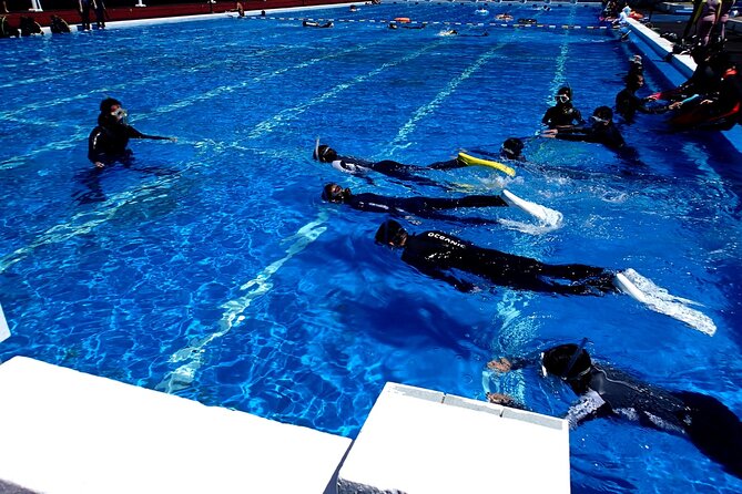 Enjoy Diving in Izu,Discover Scuba Diving for Nondiver. - Booking Information
