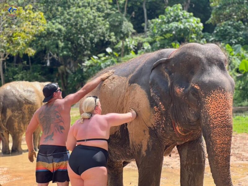 Enjoy Elephant Bathing & Herb With Elephant - Key Points
