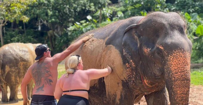 Enjoy Elephant Bathing & Herb With Elephant - Frequently Asked Questions