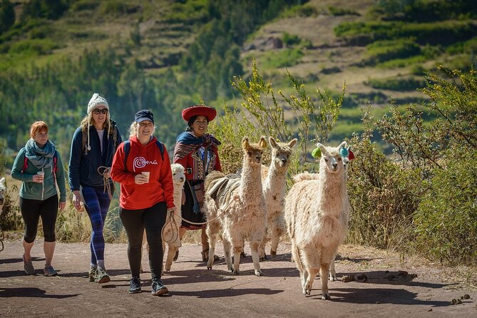 Enjoy From Cusco - FULL DAY PRIVATE SACRED VALLEY TOUR - Confirmation and Support