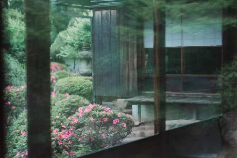 Enjoy Japan With Five Senses, Wagashi & Tea Ceremony Tokyo - Activity Highlights
