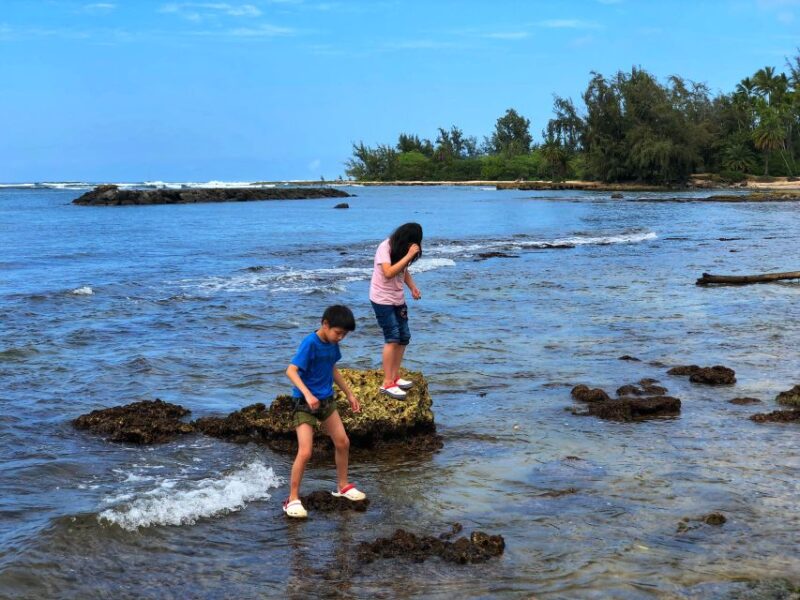 Enjoy Private Professional Photo Tour in Honolulu Island - Inclusion Details