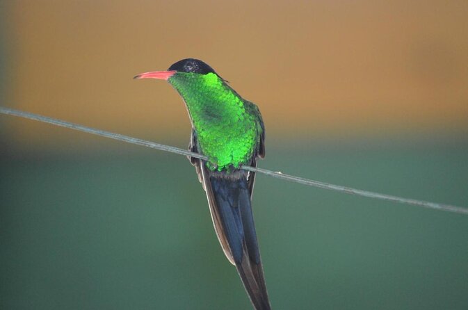 Enjoy Rockland Bird Sancutary - About Your Stay