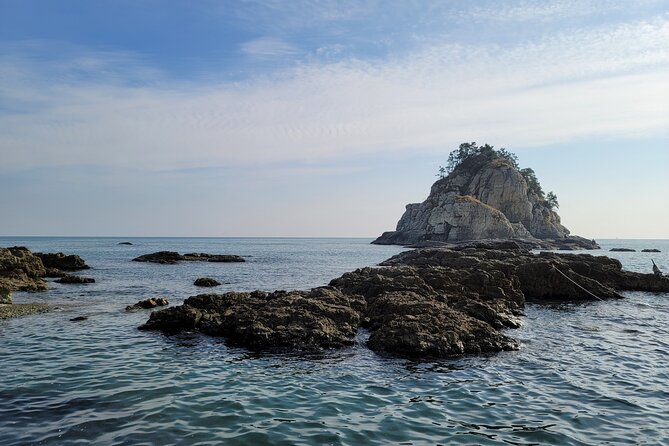 Enjoy Seafood After Walking Along the Coast From Igidae Park to Oryukdo Park. - What to Expect on the Tour