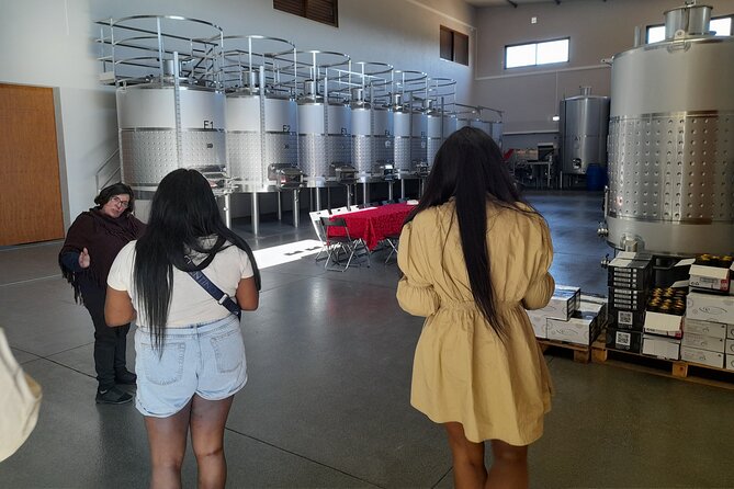 Enjoy The Algarvian Wine Taste & Coast Line Private Van Tour - Included Experiences