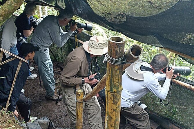 Enjoy The Beauty Of The Birds Of The Northwest - Birdwatching Equipment Provided