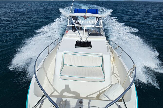 Enjoy the Best Boat Excursion in Puerto Rico. All Inclusive - Health and Accessibility Considerations