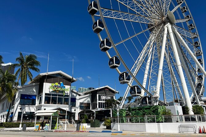 Enjoy the Best of Miami in One Day Tour - Taking in the Citys Rich History
