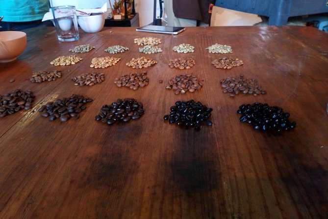 Enjoy the Coffee Route in Coatepec Magical Town - Whats Included in the Tour