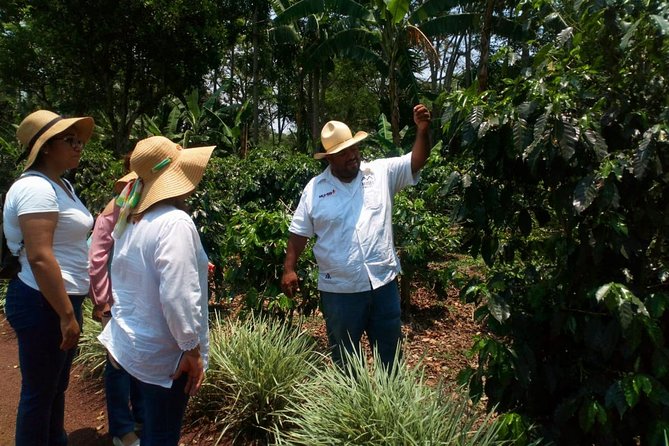 Enjoy the Coffee Route in Coatepec Magical Town - Booking Information and Policies