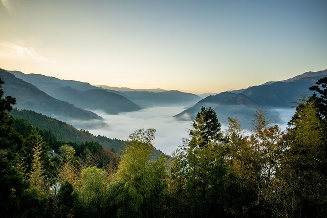 Enjoy the Sea of Clouds in Oboke Iya Cab Plan / Tokushima,Shikoku - Discovering Tokushima, Shikoku