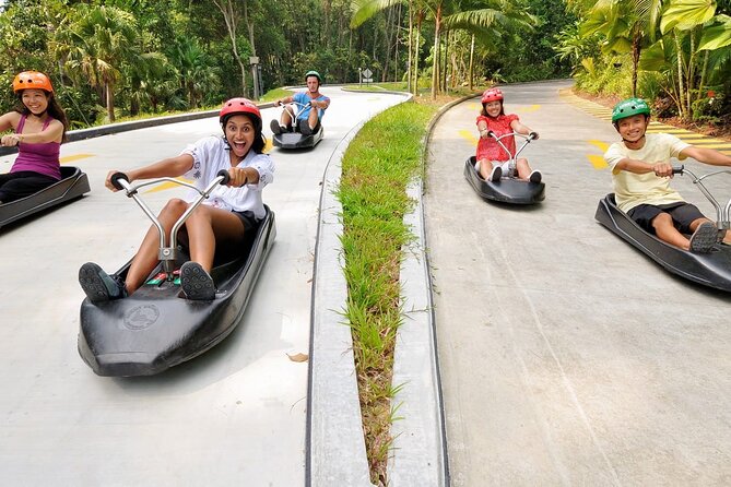 Enjoy the Skyline Luge & Skyride - Accessibility and Requirements