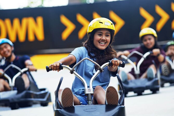 Enjoy the Skyline Luge & Skyride - Reviews and Feedback