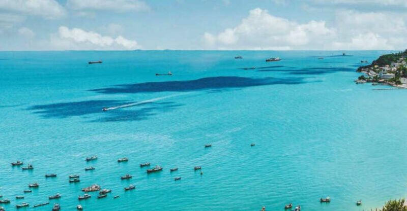 Enjoy the Sunshine With Vung Tau Beach Private Day Tour - Highlights of the Tour