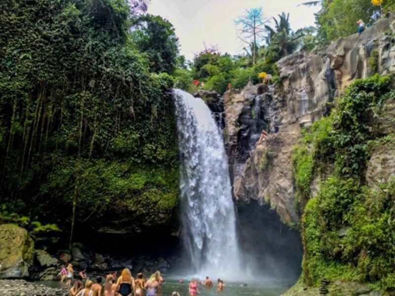 Enjoy Ubud : Tegallalang, Tegenungan Waterfall/ Private Tour - Itinerary Highlights