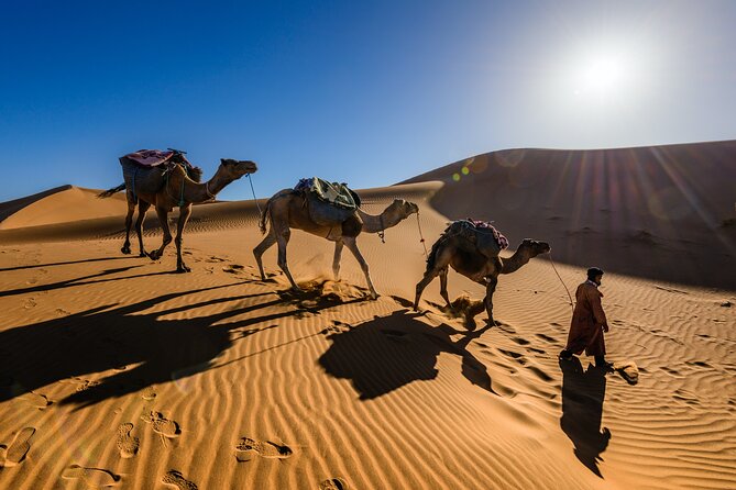 Enjoy Unforgettable 3-Days Desert Tour Fes To Marrakech - Accessibility and Participation