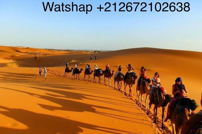 Enjoy1 Night Berber Camp Sahara Desert,Camel Sunset Sunrise Quad Sunboarding ATV - Meals and Refreshments