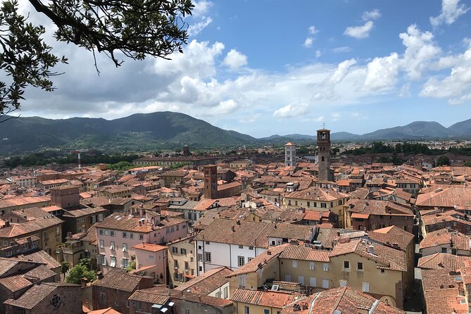 Enjoyable Music Tour of the Historical City of Lucca - Opera House and Museum