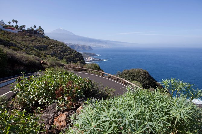 Enogastronomic Tour- 4 Hours in Tenerife - Gastronomic Culture of Tenerife