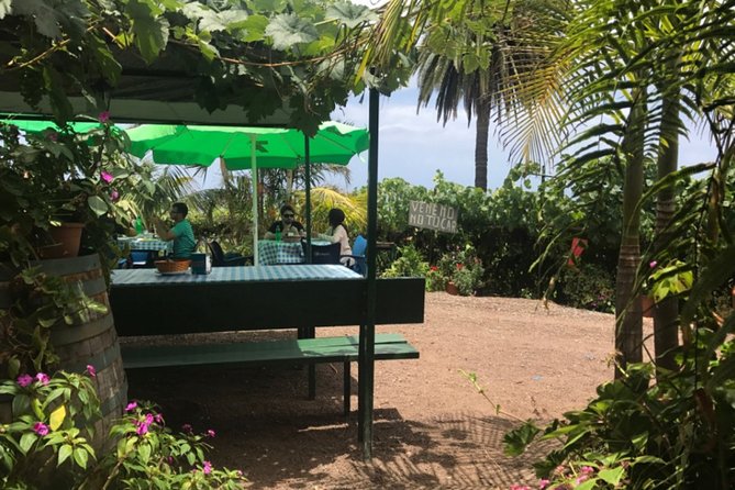 Enogastronomic Tour- 4 Hours in Tenerife - Dining at Restaurante Basilio