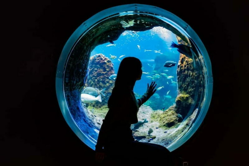 Enoshima Aquarium: Admission Ticket - Interactive Experiences & Shows