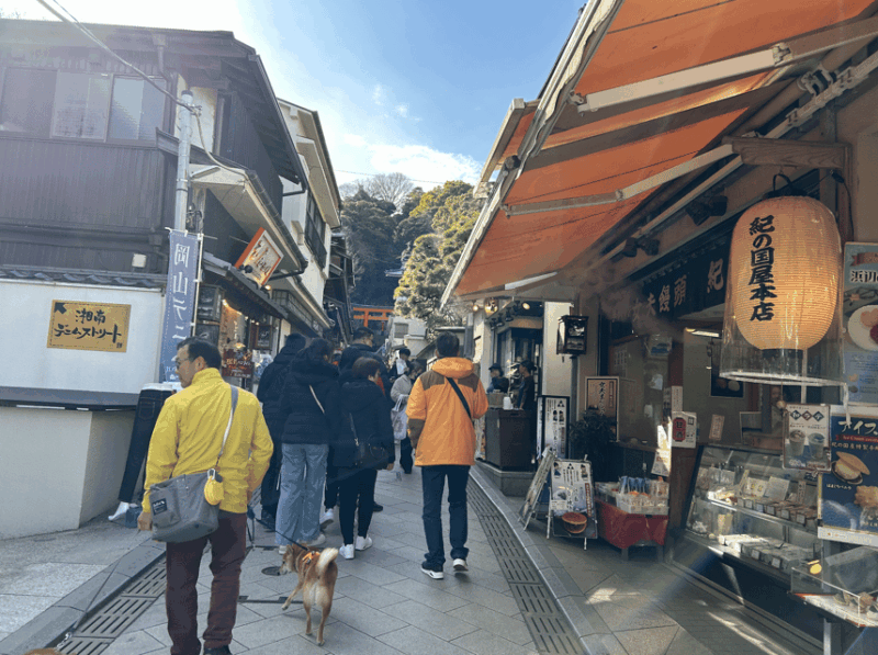 Enoshima Private Walking Tour With Local Guide Kids Friendly - Tour Logistics