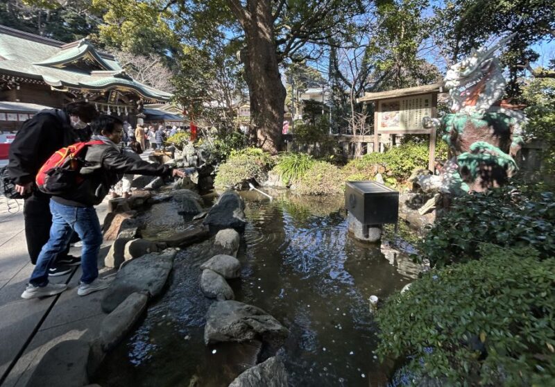 Enoshima Private Walking Tour With Local Guide Kids Friendly - Explore Enoshima Iwaya Cave
