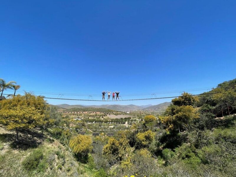 Ensenada: a Thrilled Family Adventure of Ziplines - Adventure Surrounded by Nature