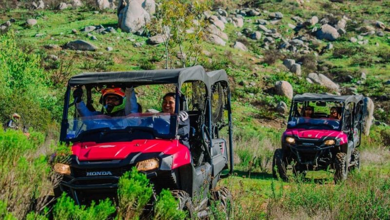 Ensenada: ATV and Side-by-Side Mountain Adventure - Booking Information