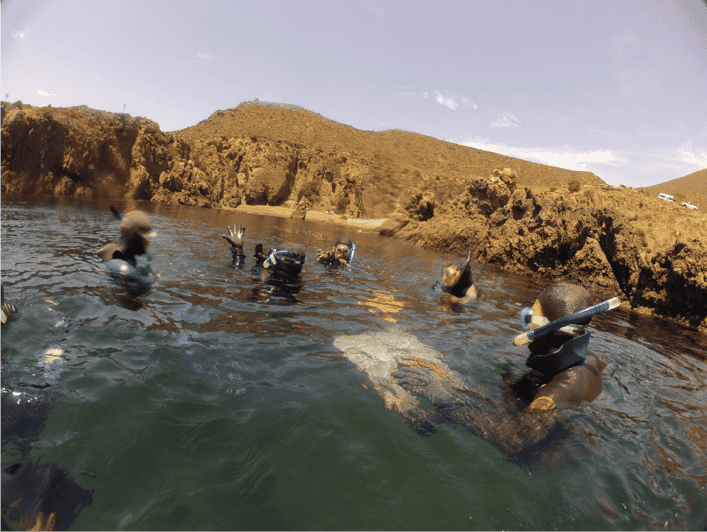 Ensenada: Bahia De Arbolitos Snorkeling Tour With Lunch - Key Points