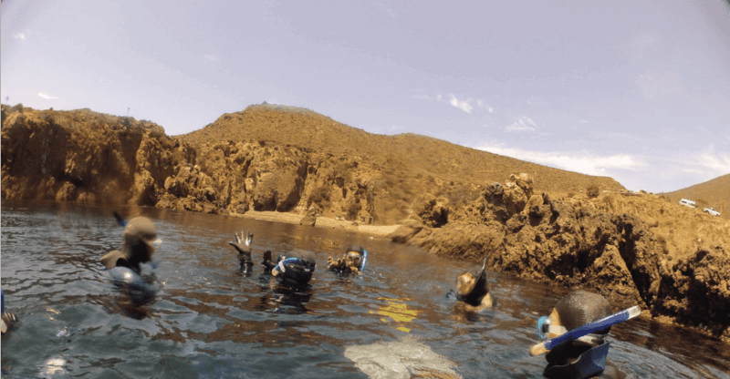 Ensenada: Bahia De Arbolitos Snorkeling Tour With Lunch - Booking Information